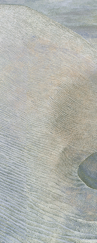 2005年26連作