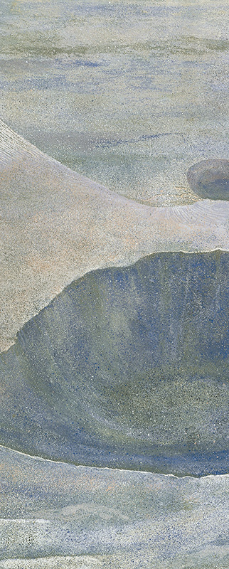 2005年26連作