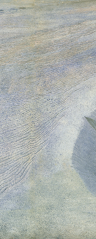 2005年26連作