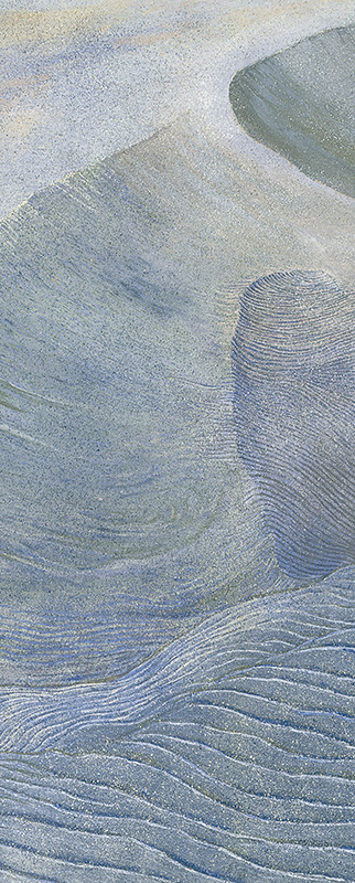 2005年26連作