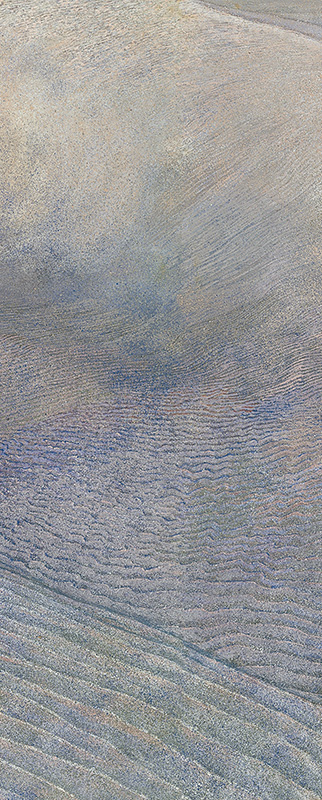 2005年26連作