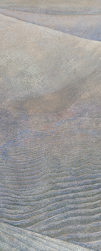 2005年26連作