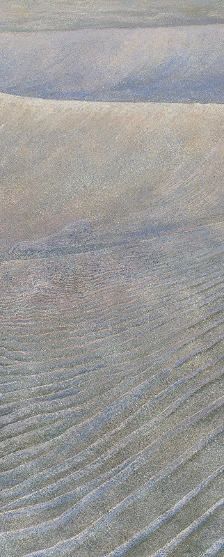 2005年26連作