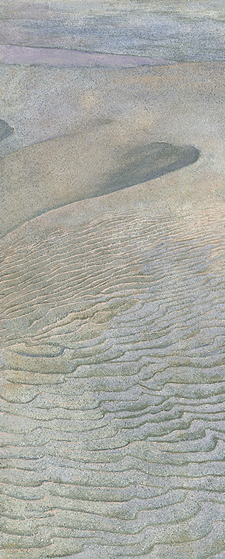 2005年26連作