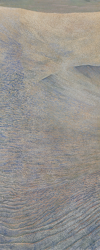 2005年26連作